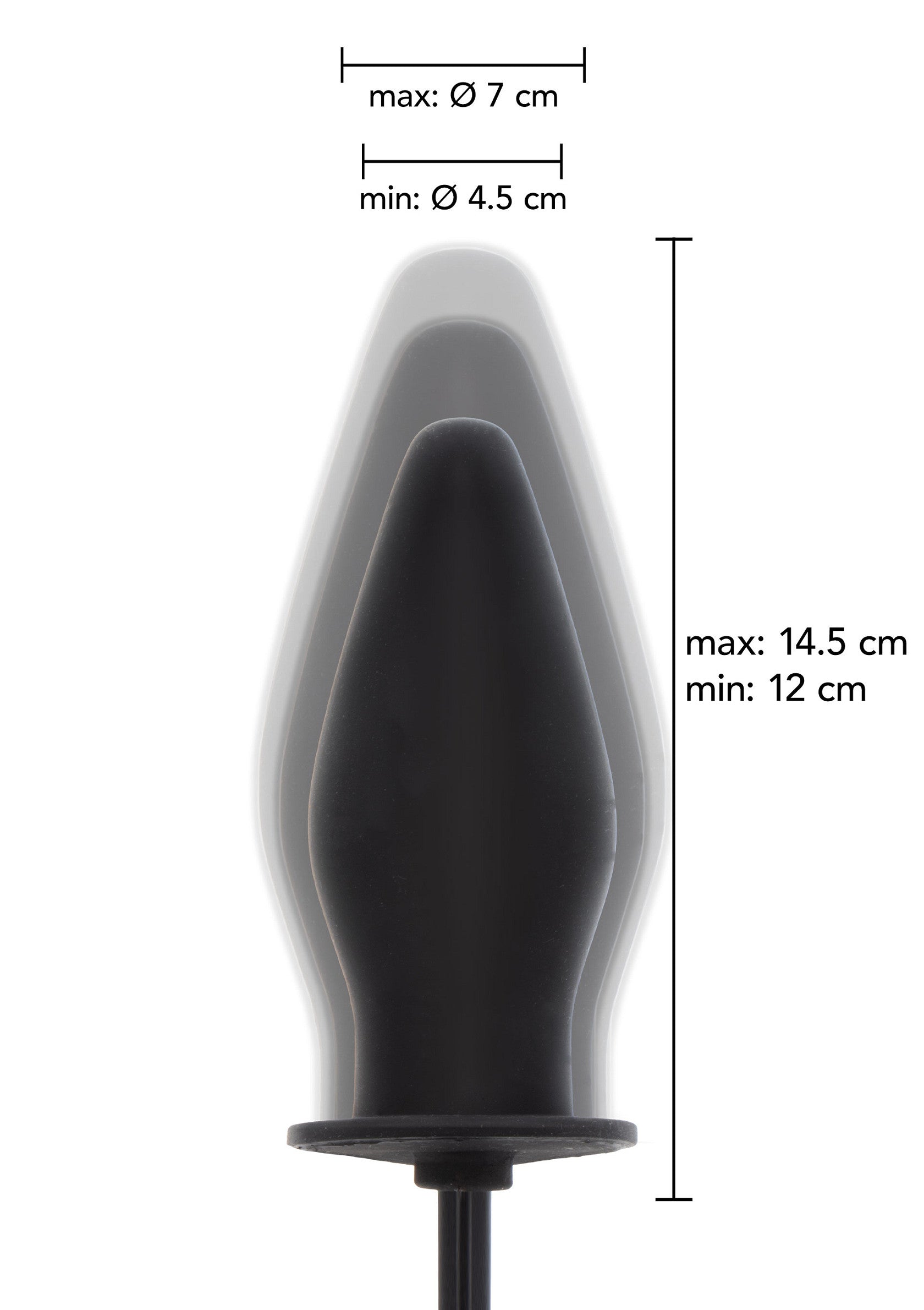 Hidden Desire - Pump Butt Plug