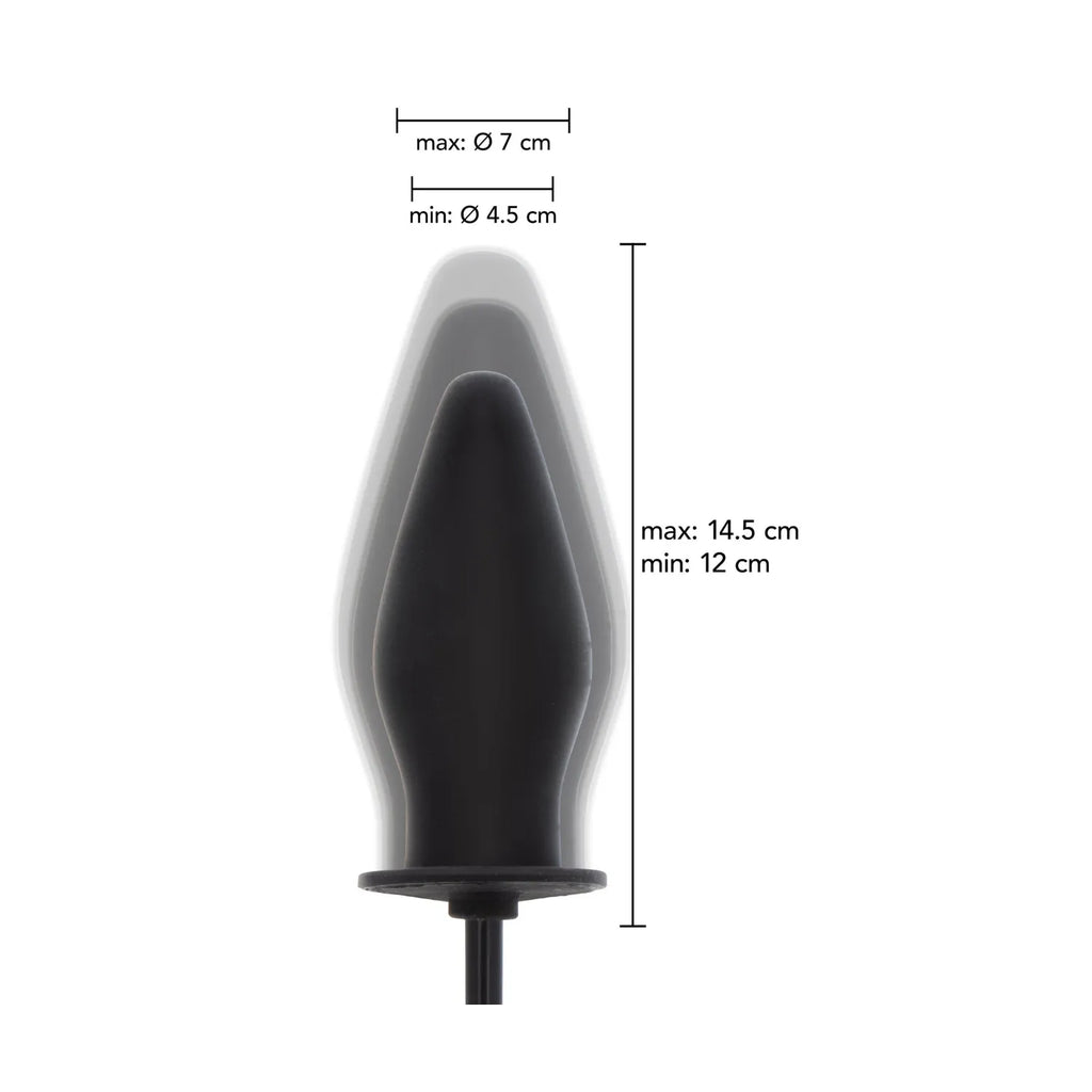 Hidden Desire - Pump Butt Plug