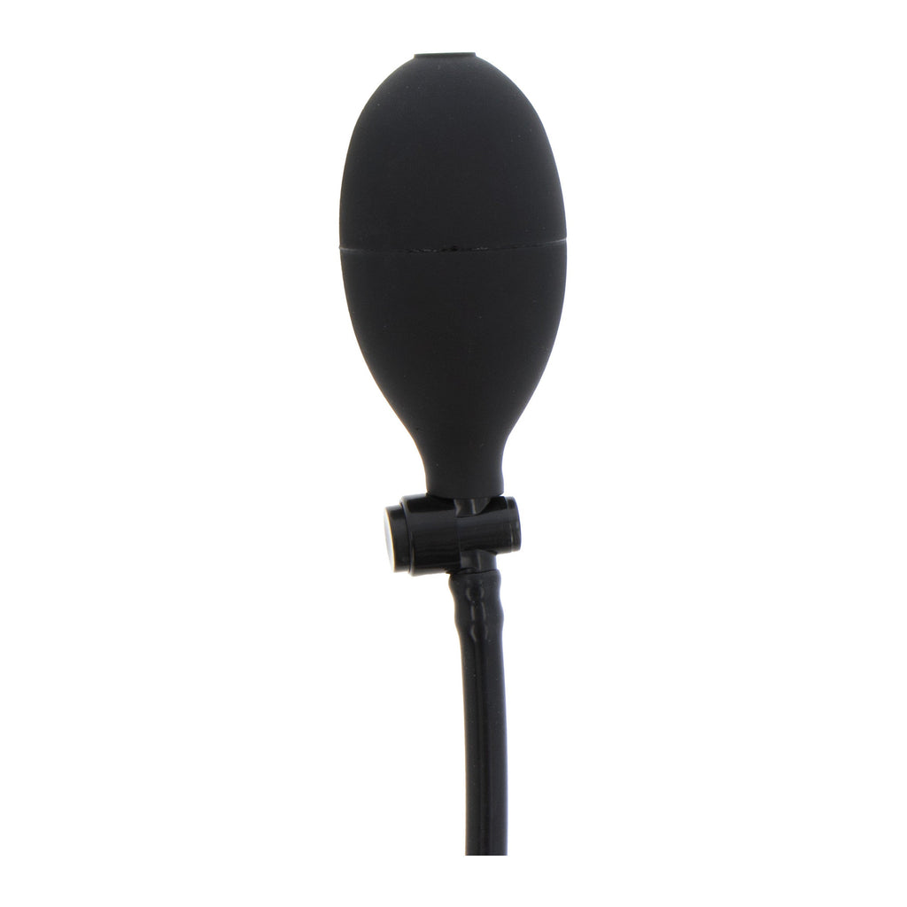 Hidden Desire - Pump Smooth Plug