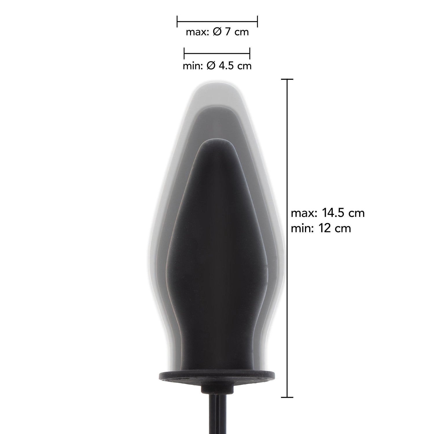 Hidden Desire - Pump Butt Plug