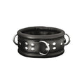XX-DREAMSTOYS - Leder-Halsfessel breit schwarz